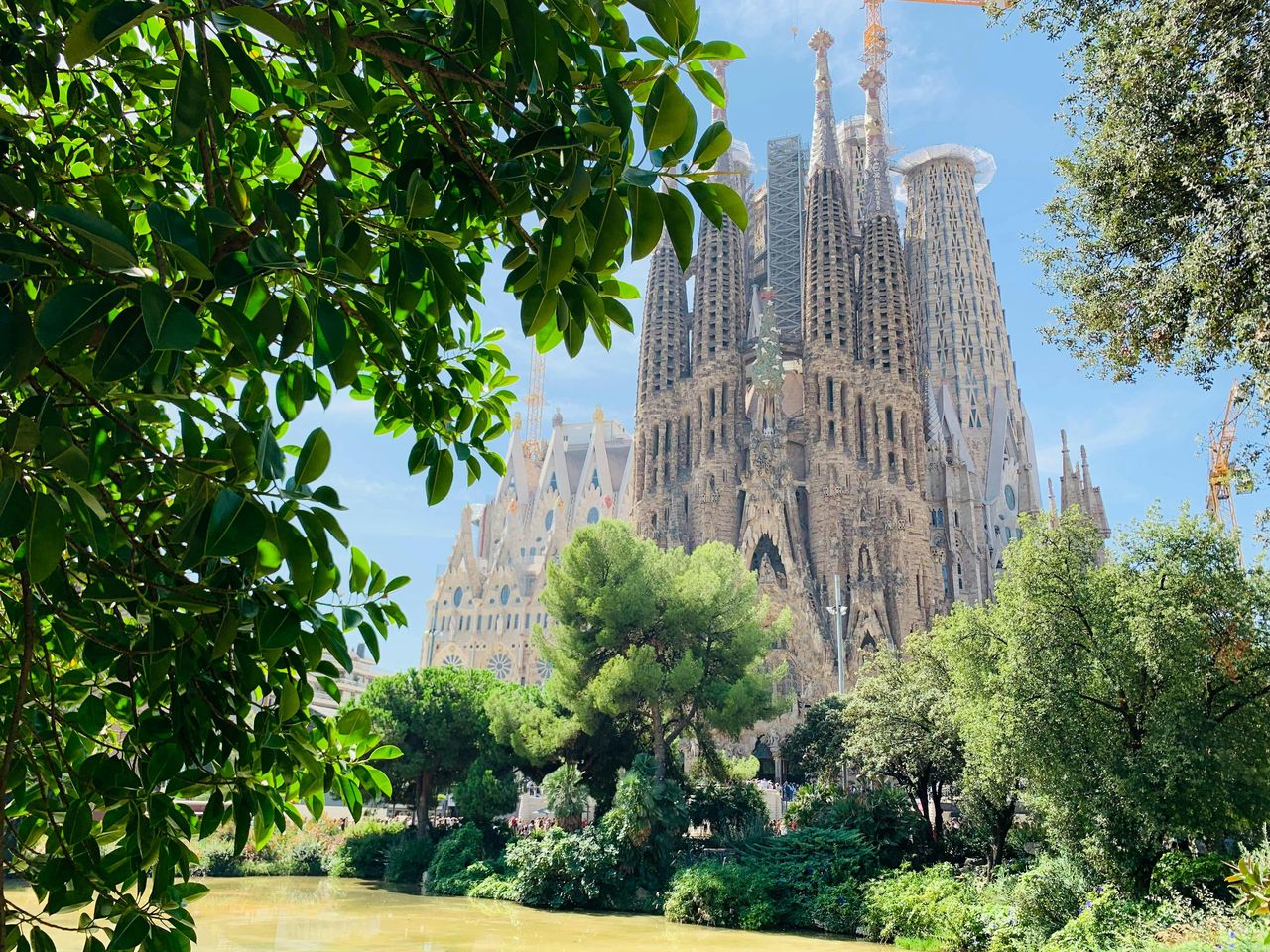 Parco Güell e Sagrada Família: Biglietto d'ingresso e visita guidata
