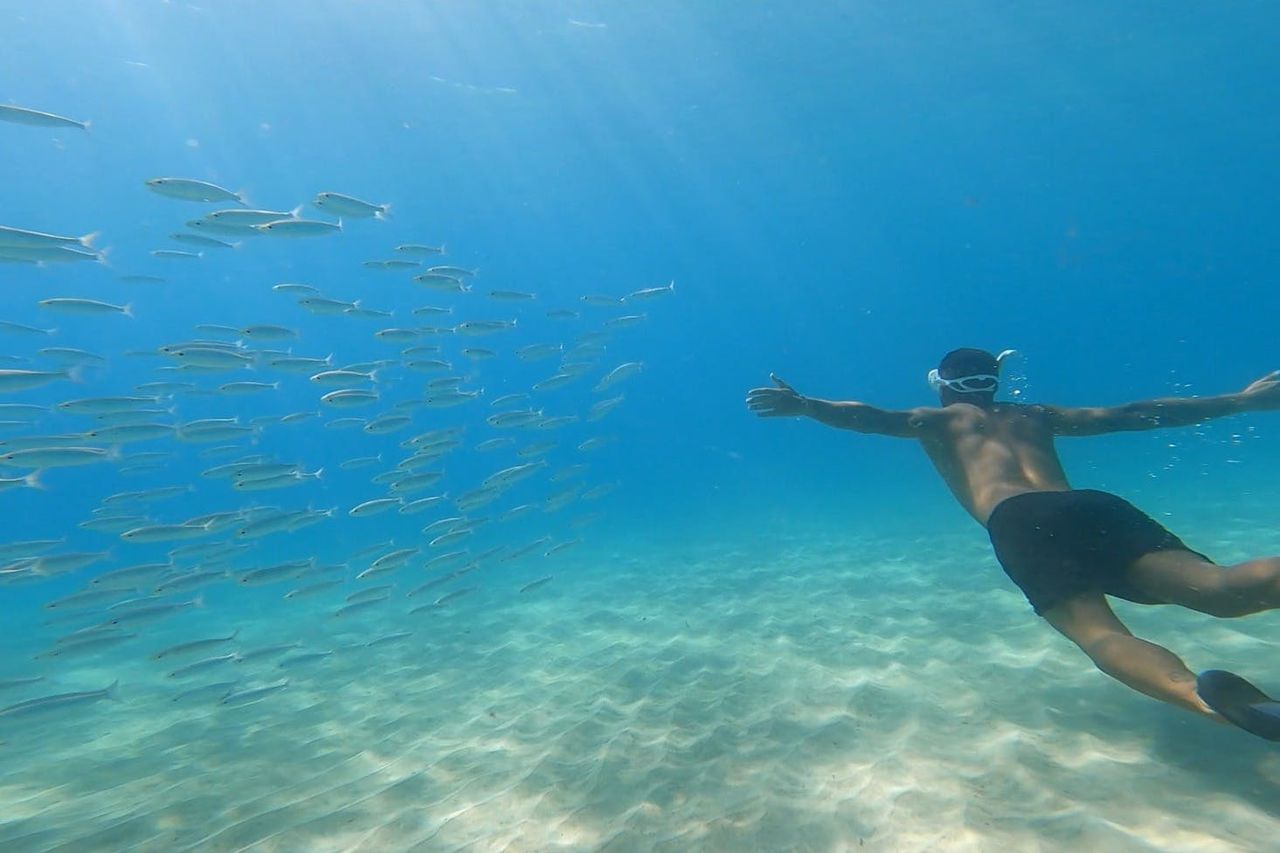 Maiorca: Gita in catamarano + Pranzo o cena + Bevande — 3