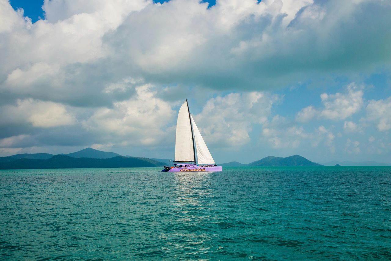 Isole Whitsunday: Tour in barca da Airlie Beach + Snorkeling + Pranzo — 5