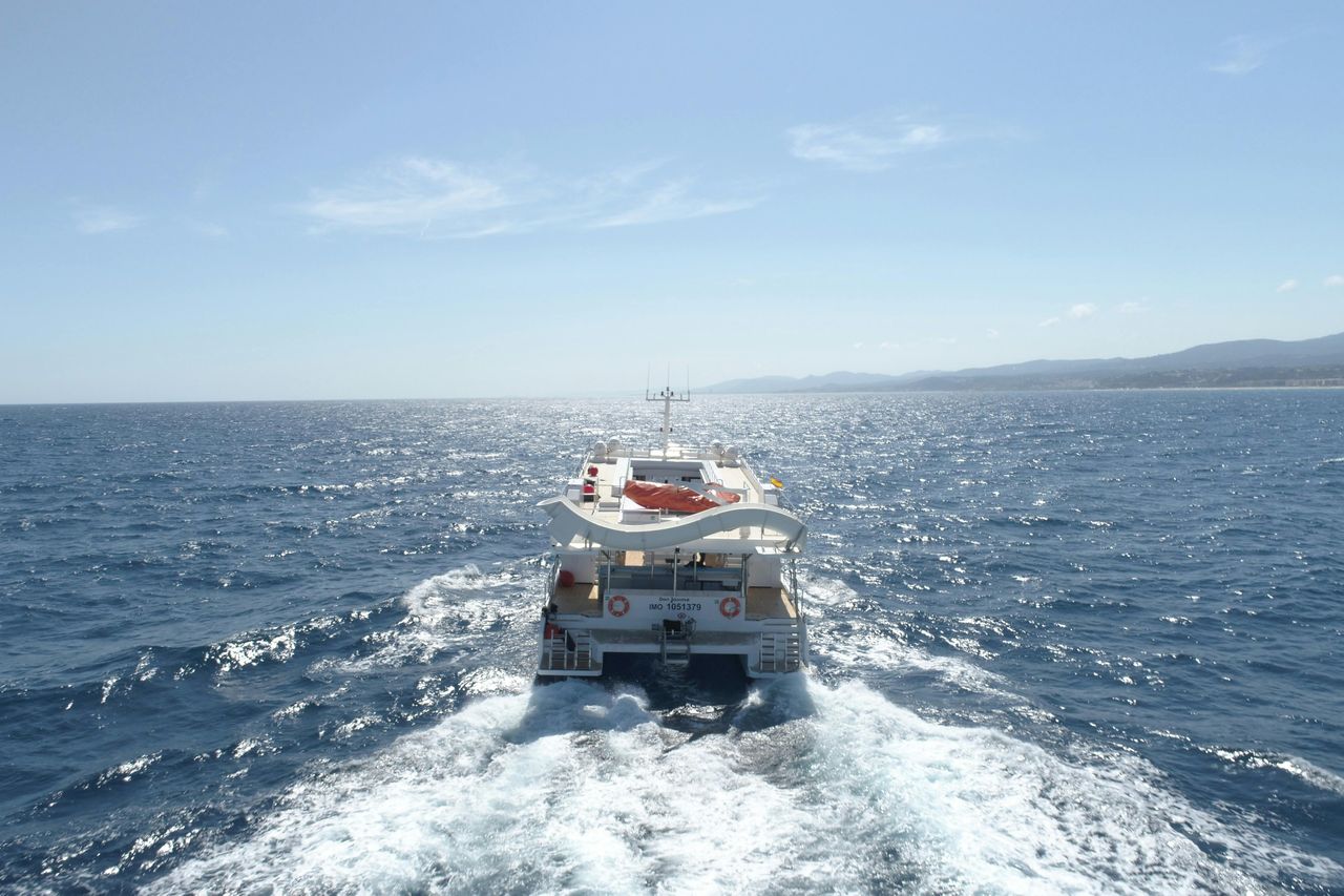 Maiorca: Tour in barca con fondo di vetro per l'osservazione dei delfini da Paguera — 7