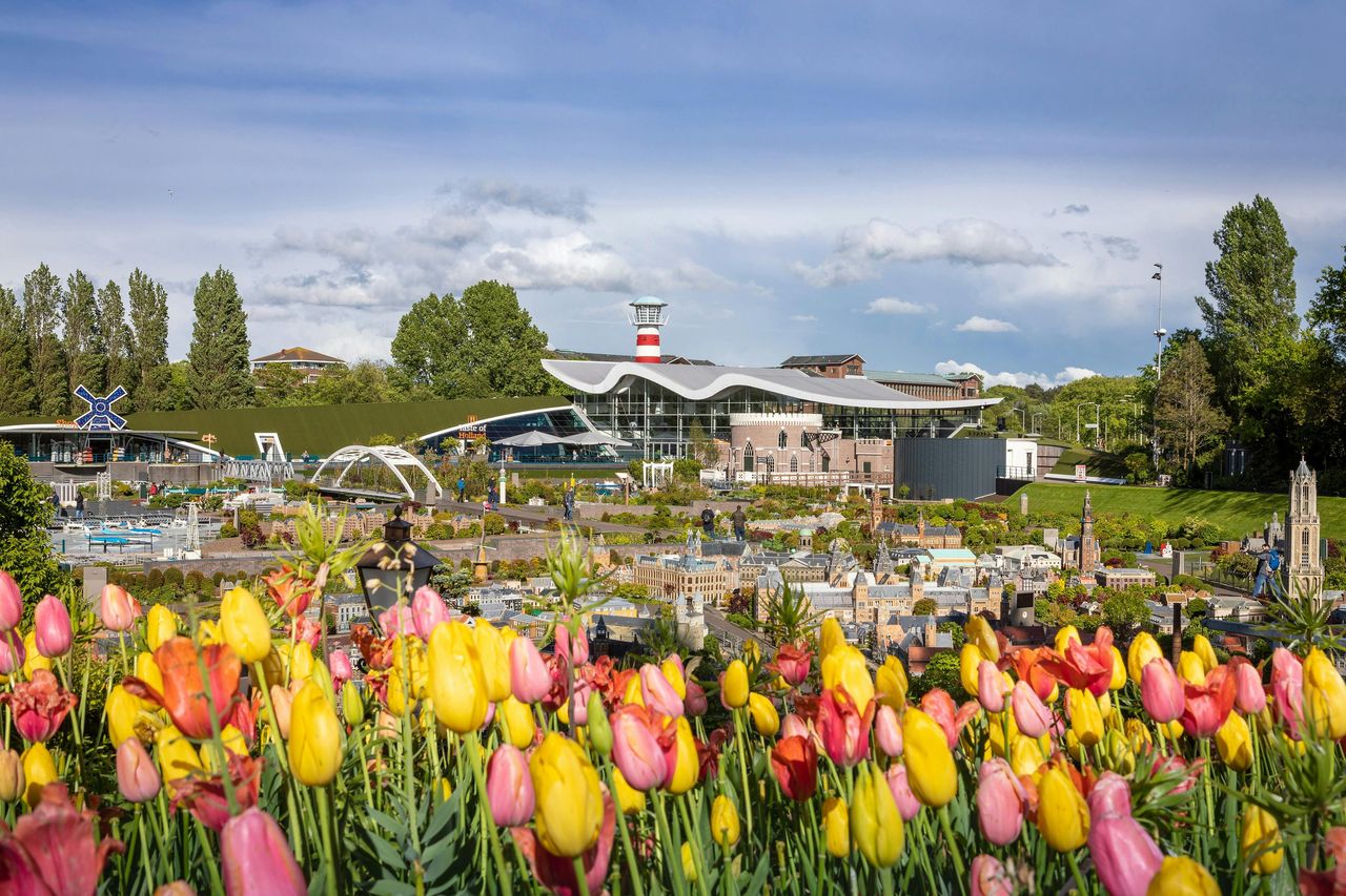 Madurodam: Biglietto d'ingresso — 8