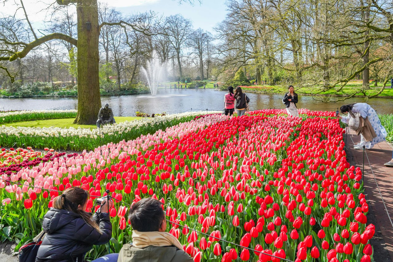 Keukenhof: Trasferimento in autobus di andata e ritorno — 2