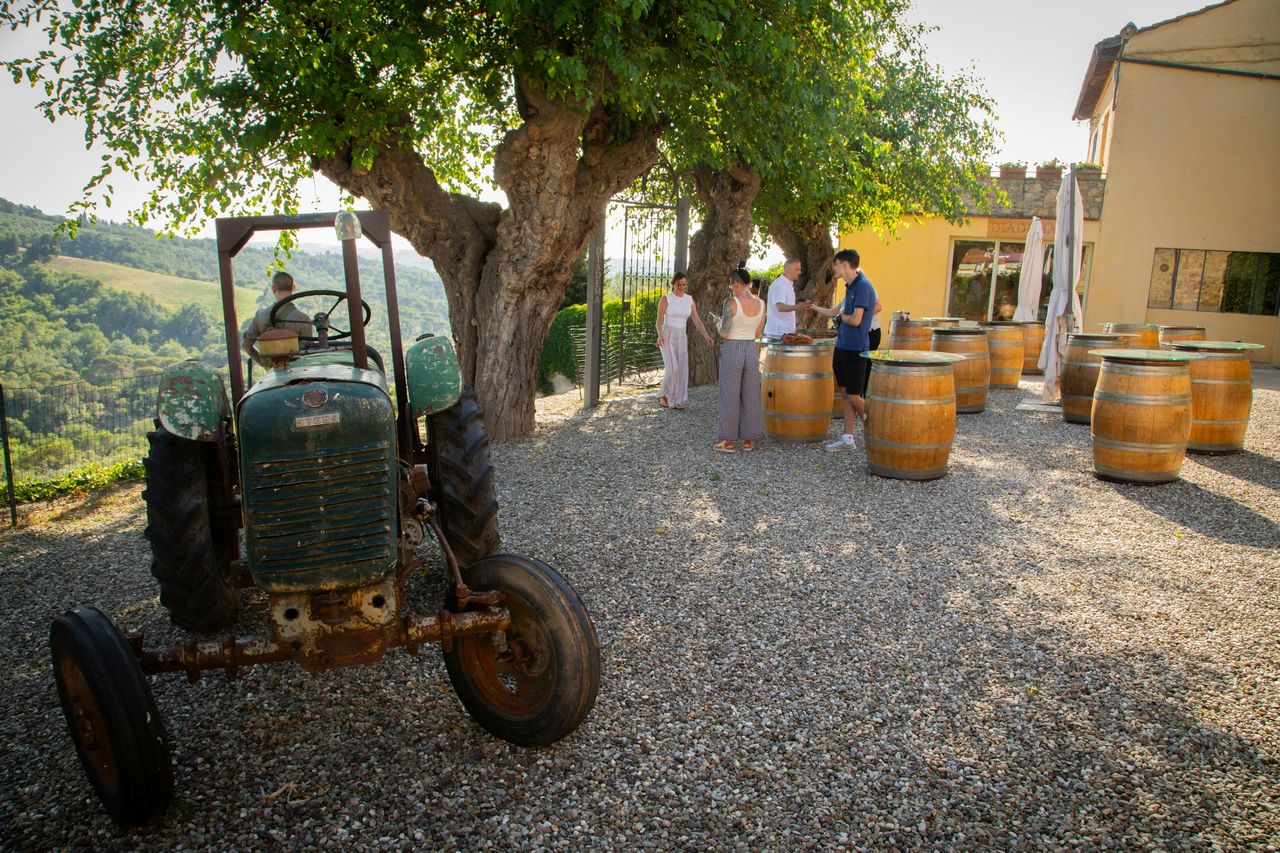 Chianti: Degustazione di vino e olio con tour guidato + Trasporto da Firenze — 8