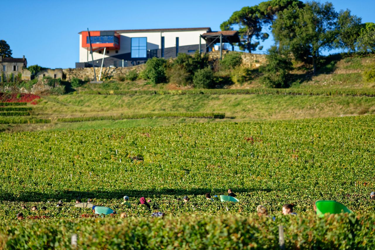 Château La Croizille: Tour Guidato + Degustazione di Vini — 4