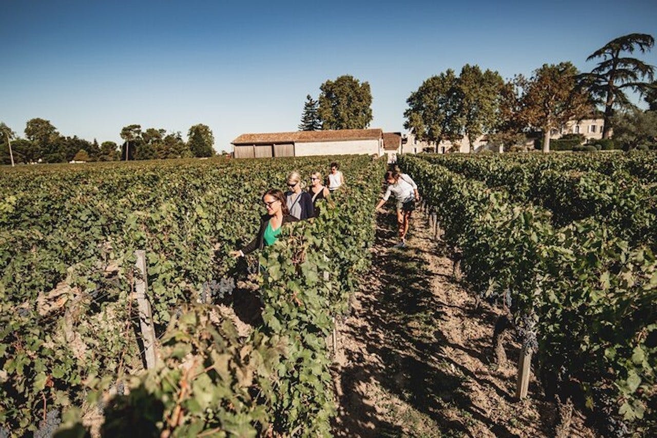 Saint-Emilion: Tour guidato di degustazione di vini + pranzo — 2