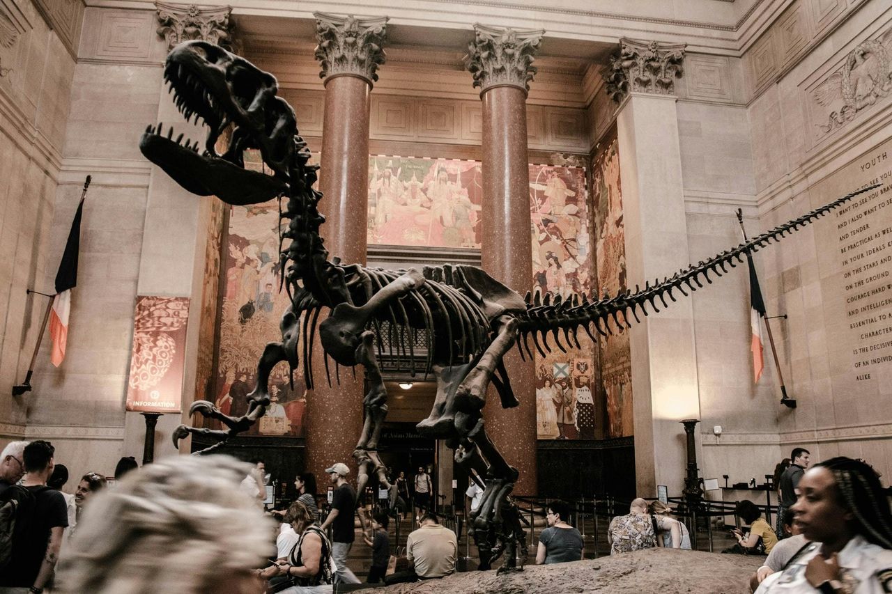 American Museum of Natural History (AMNH): Biglietto d'ingresso
