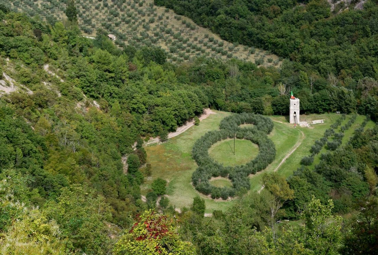 Bosco di San Francesco: Biglietto d'ingresso — 2