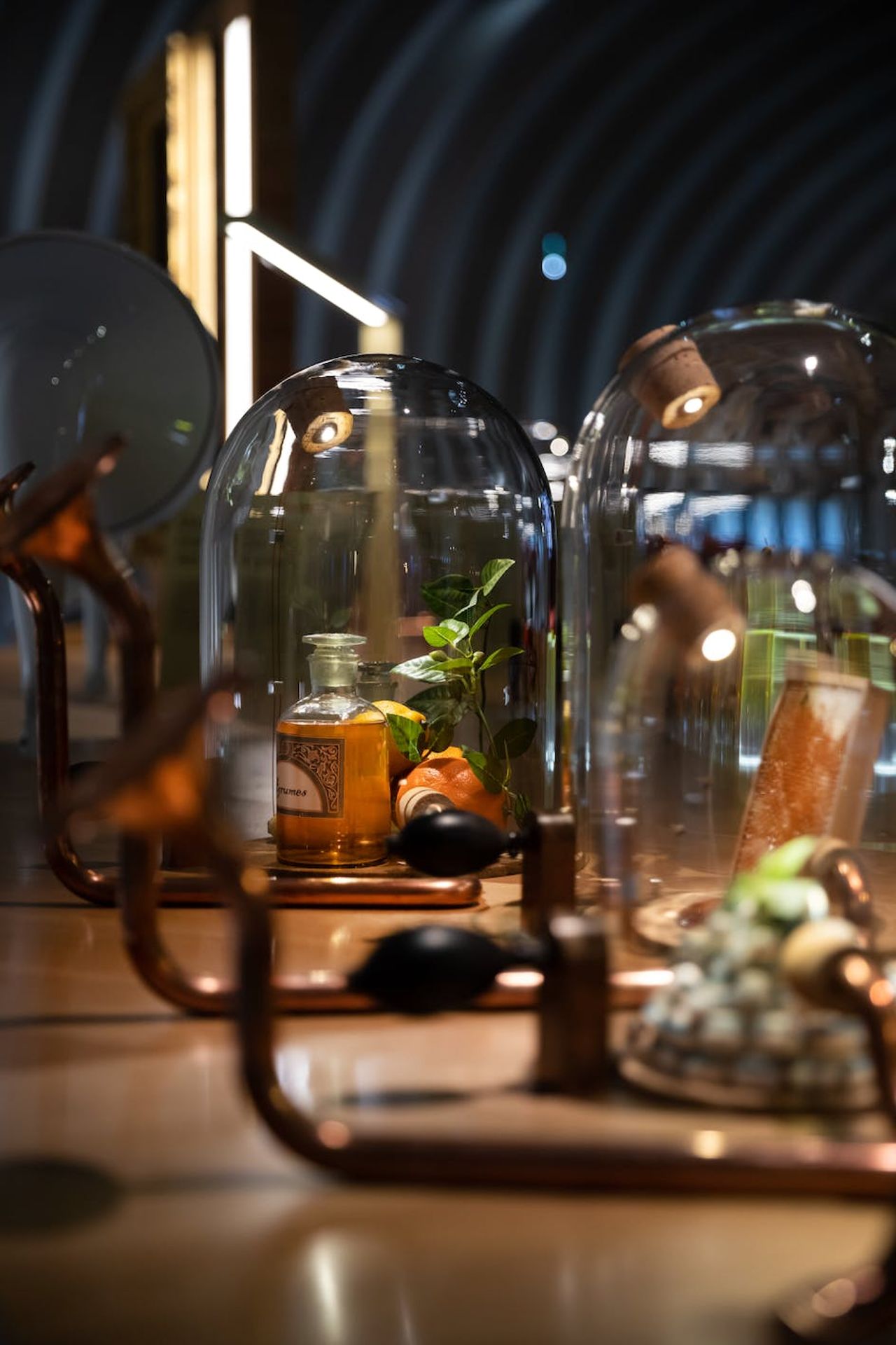 La Cité du Vin: Mostra permanente + Belvedere — 6