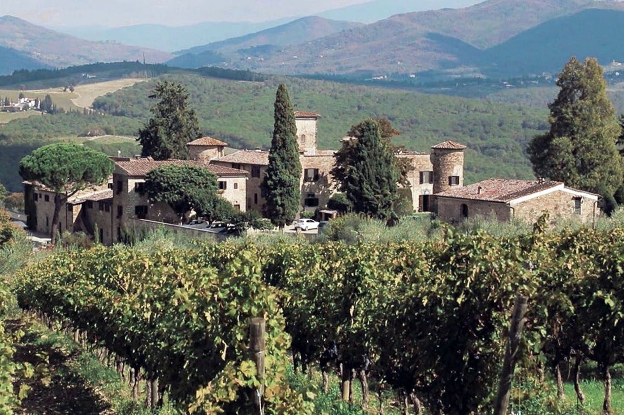 Chianti: Degustazione di vino e olio con tour guidato + Trasporto da Firenze