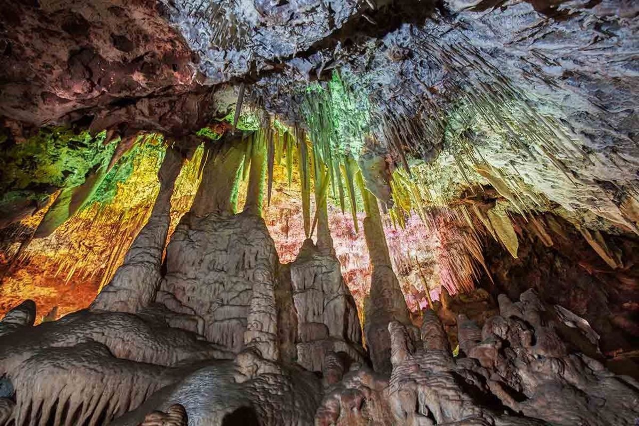 Dinosaurland & Caves dels Hams: Biglietto Combo