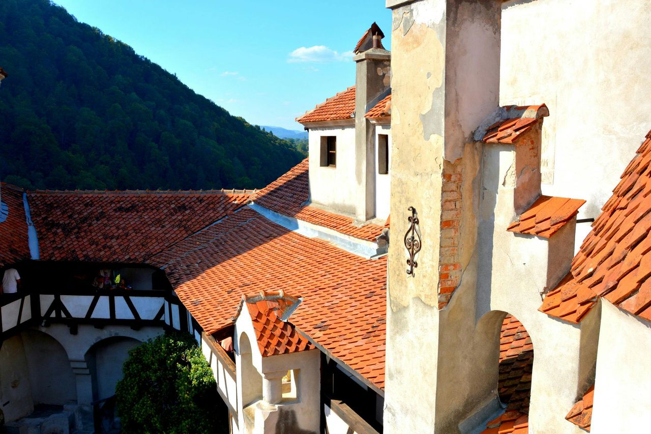 Castello di Dracula: Biglietto d'ingresso + visita guidata — 2