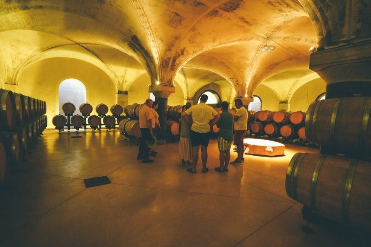 Tour di degustazione dell'Amarone da Verona — 5