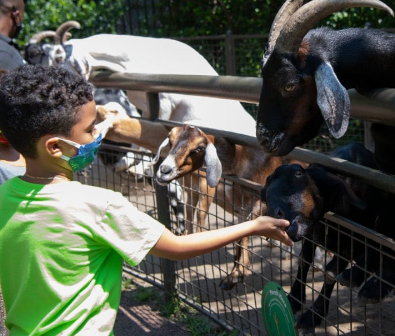 Zoo di Central Park: Biglietto d'ingresso — 4