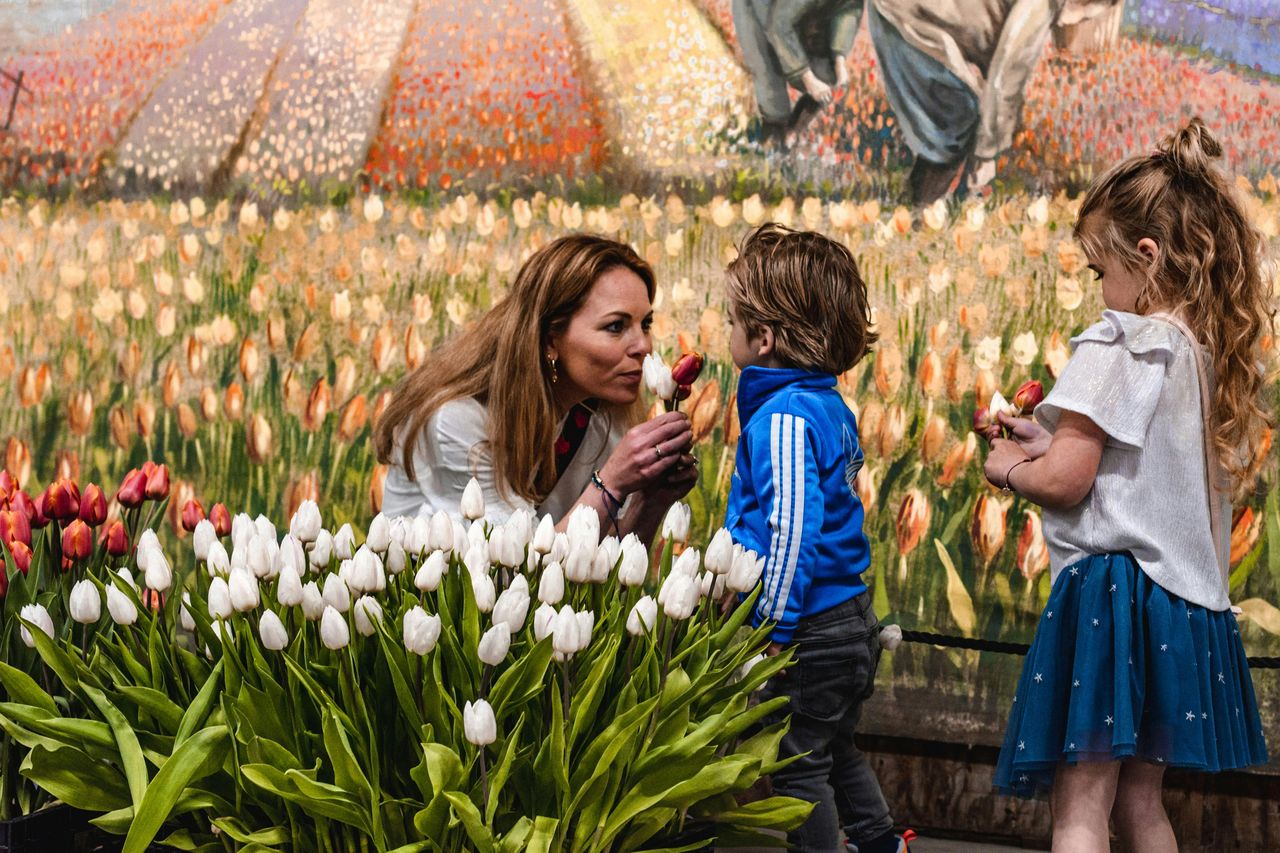 Esperienza Keukenhof & Tulipani: Biglietto d'ingresso + trasferimento + caffè o tè — 6