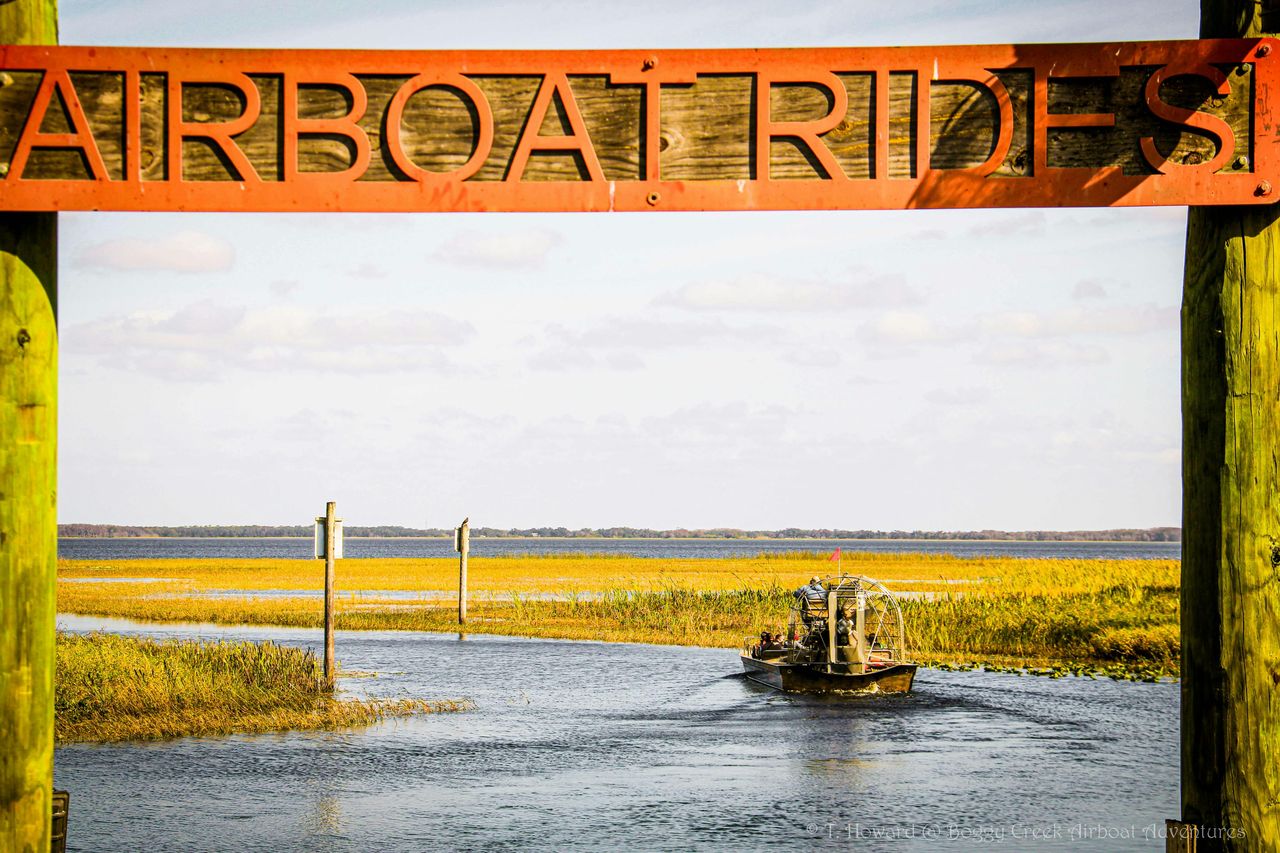 Kissimmee: tour in motoscafo delle Everglades di 1 ora a Boggy Creek — 7