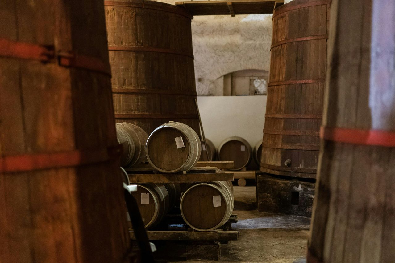 Safari Grand Tour e degustazione — 5