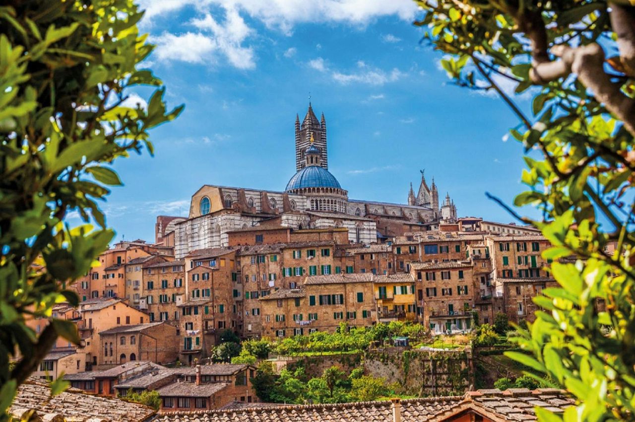 Certaldo, Monteriggioni e Castellina: Tour in giornata da Firenze + Corso di cucina — 7