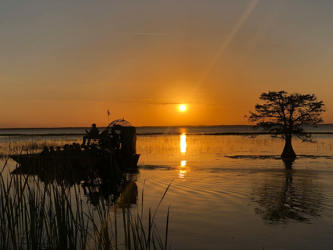 Kissimmee: tour notturno delle Everglades in motoscafo di 1 ora a Boggy Creek — 3