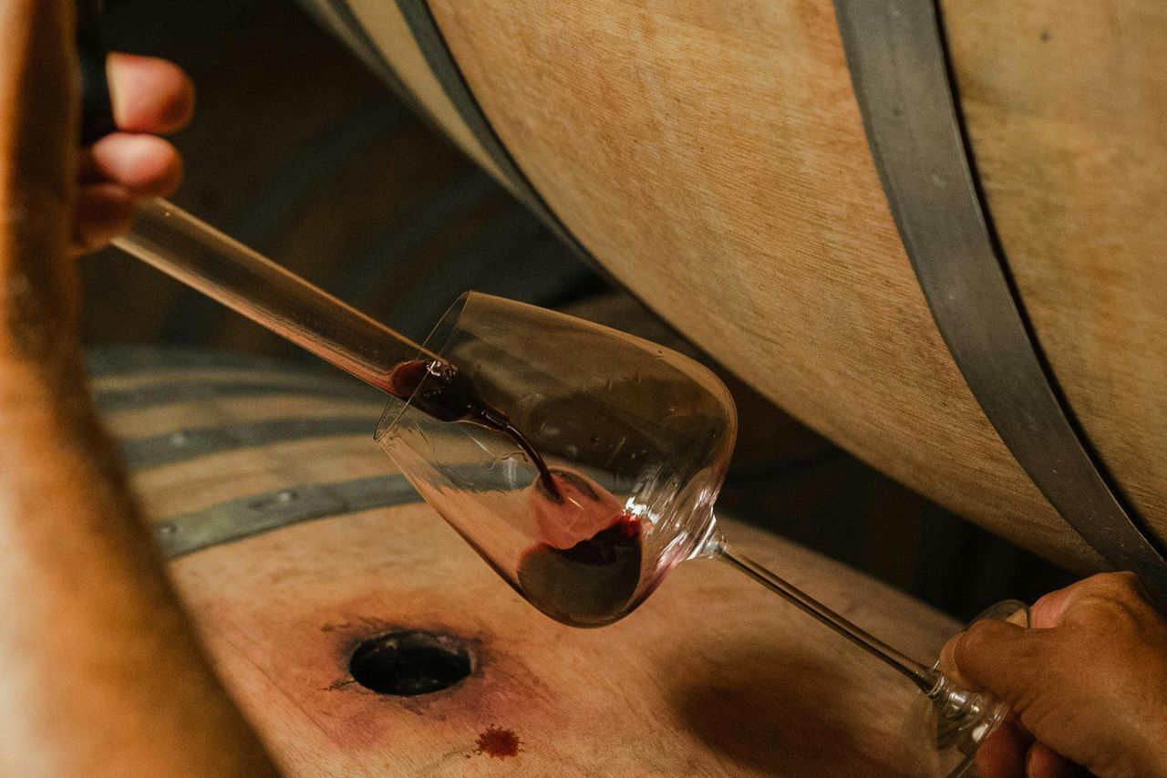 Tenuta vinicola Corte Pavone: Tour del Brunello dietro le quinte e degustazione gastronomica