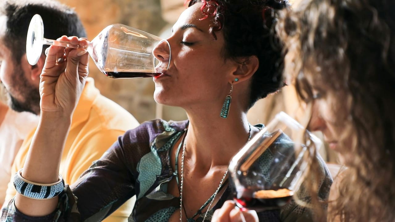 Chianti: Gita in giornata da Firenze + Tour e degustazione di vini — 6