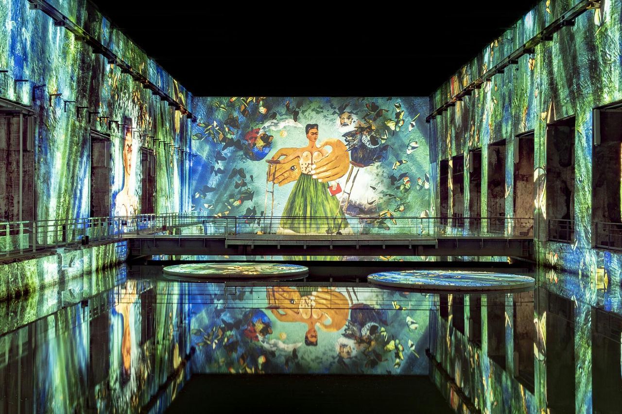 Les Bassins des Lumières: Mostra Matisse e Frida Kahlo — 9