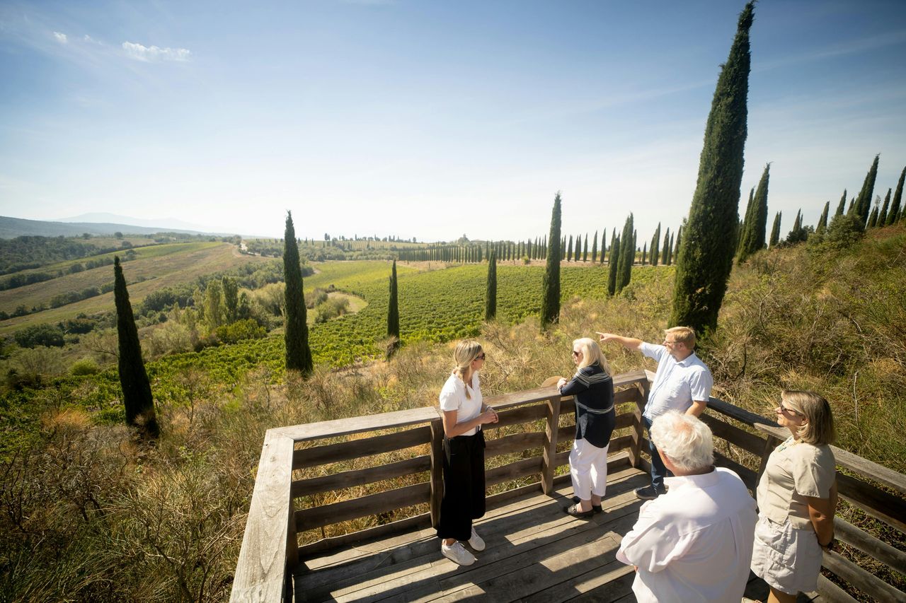 Azienda vinicola Corte Pavone: Picnic con vino e cibo + visita guidata al vigneto — 7