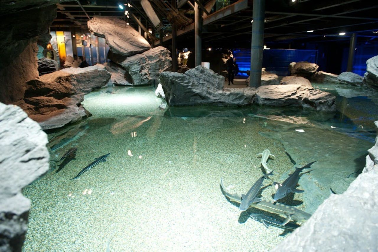 Acquario di Genova: Biglietto d'ingresso + Esperienza alimentare — 4