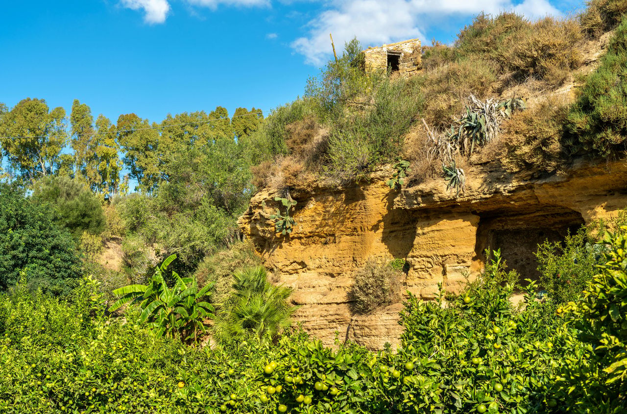 Valle dei Templi e Giardino della Kolymbethra: Biglietto d'ingresso — 7