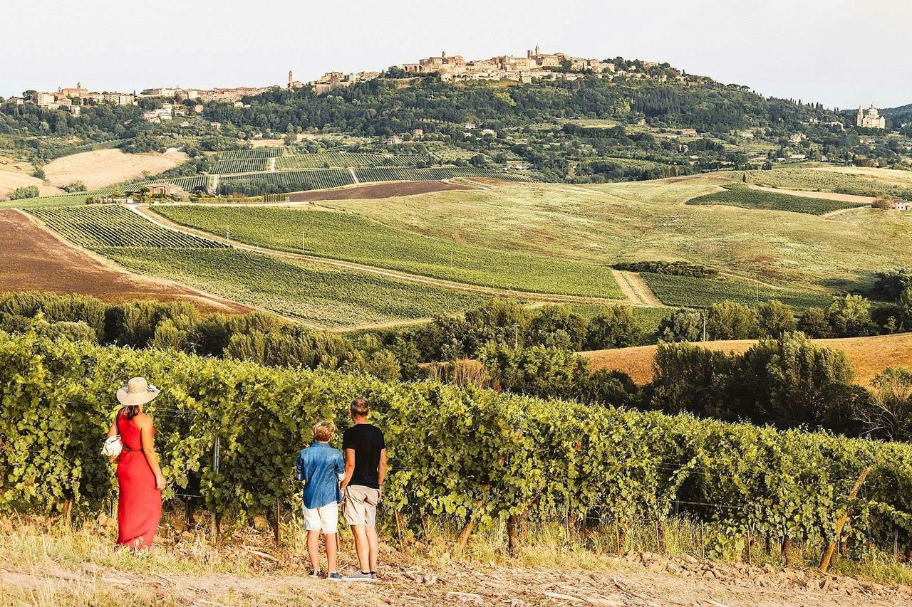Montepulciano: Tour di degustazione di vini in due cantine — 4