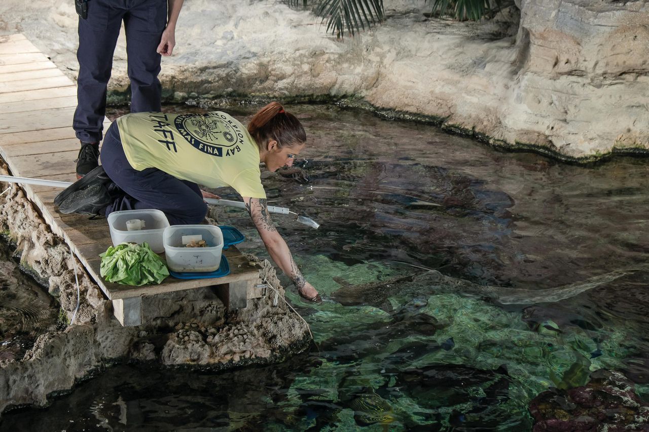 Acquario di Genova: Biglietto d'ingresso + Pranzo o Colazione — 3