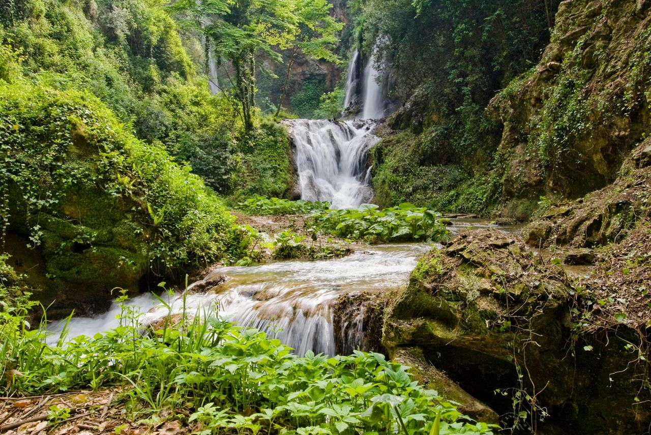 Villa Gregoriana: Biglietto d'ingresso