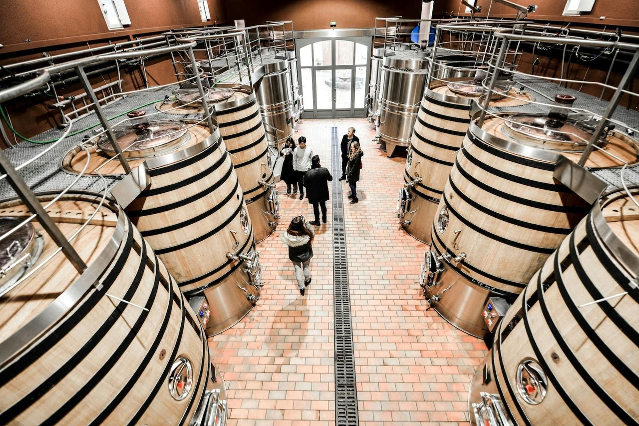 Saint-Emilion: Tour guidato di degustazione di vini + pranzo — 4