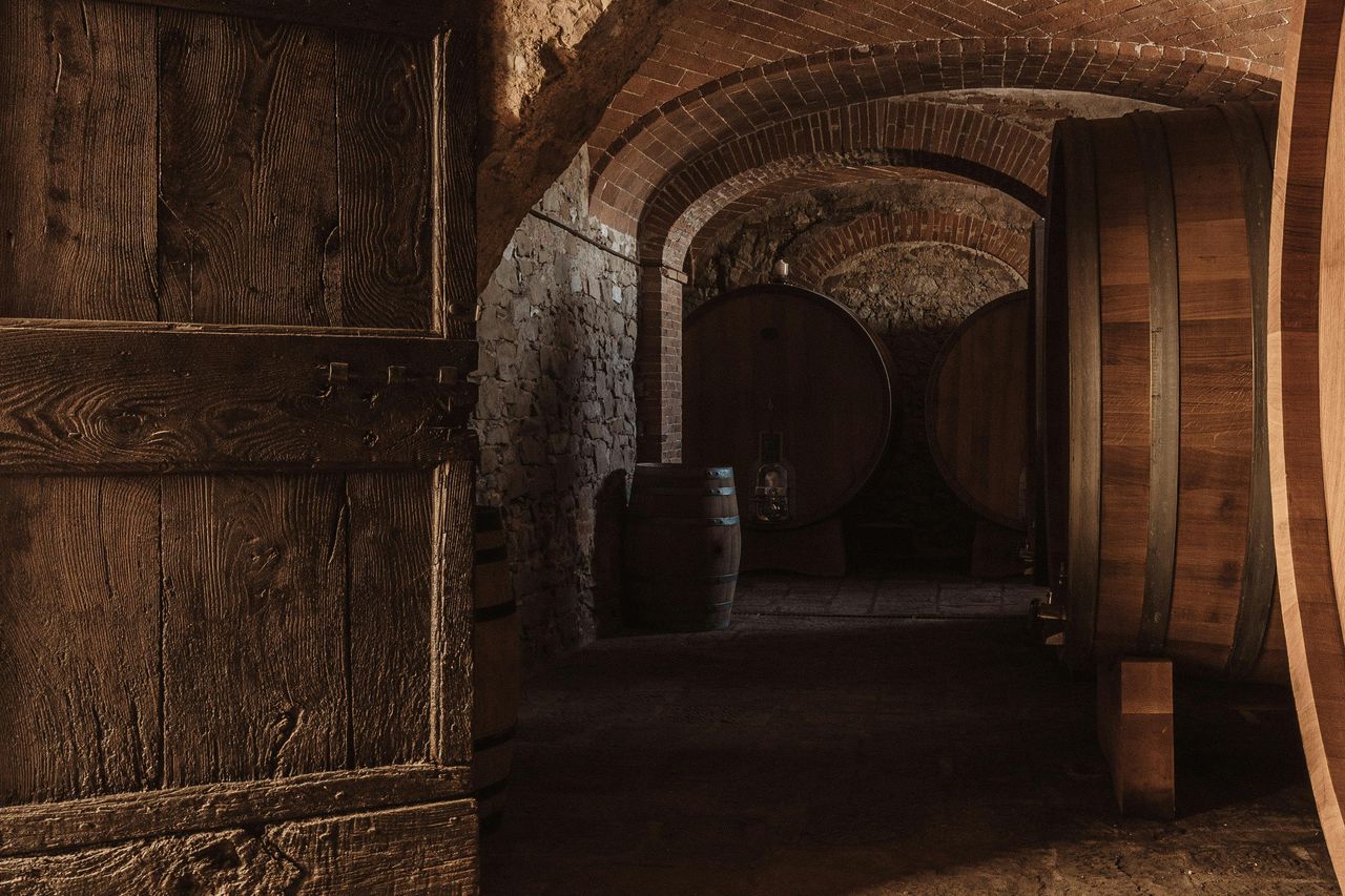 Siena: Degustazione di vino, olio e cibo Mocenni Premium presso un vigneto toscano — 4