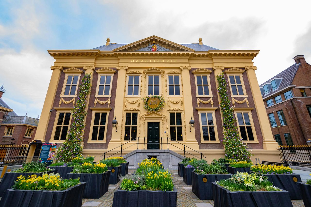 Il Museo Mauritshouse: Biglietto d'ingresso — 6