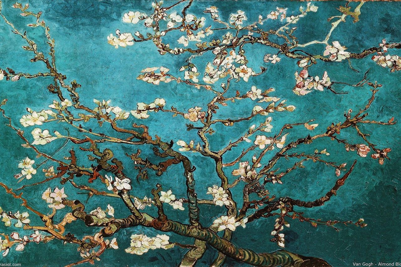 Museo Van Gogh: Tour guidato semiprivato — 3