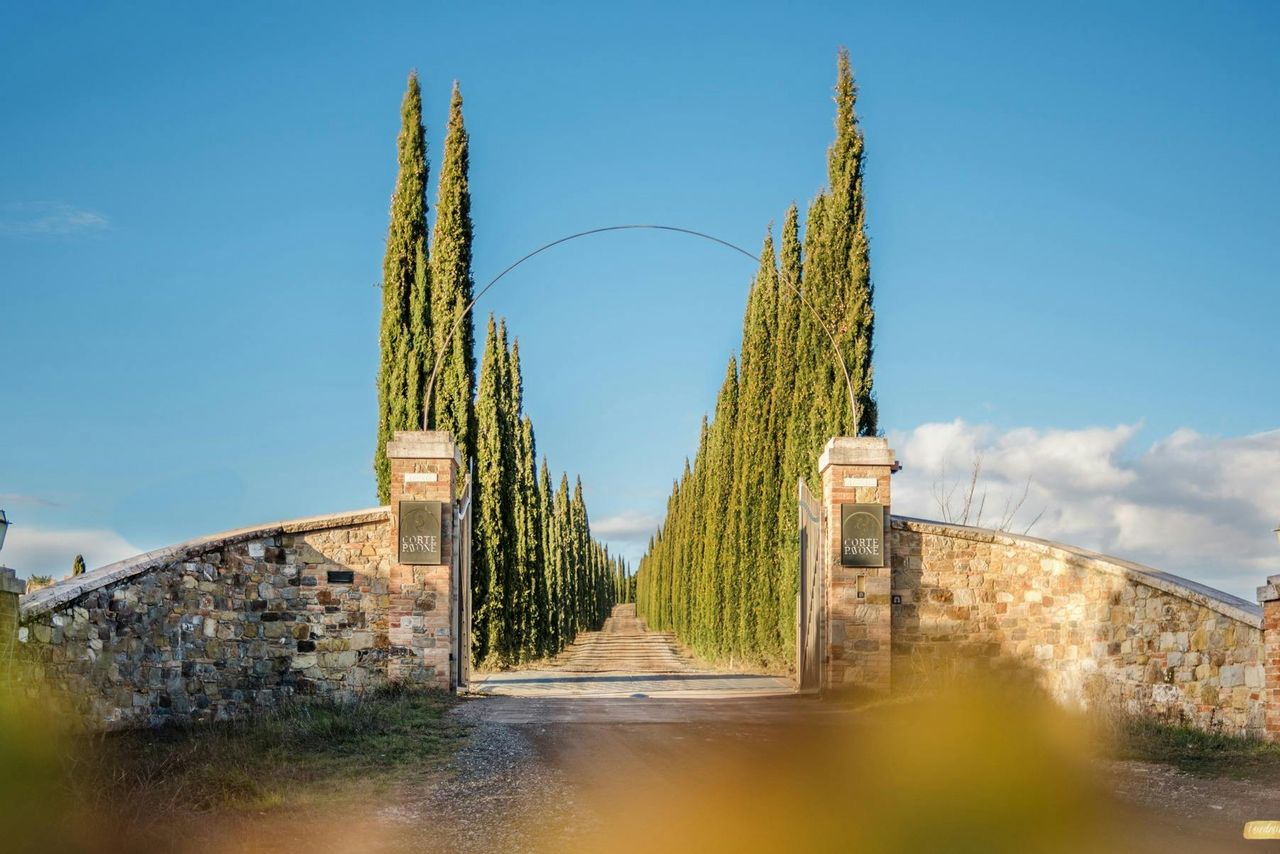 Azienda vinicola Corte Pavone: Degustazione di vini di Montalcino + bocconcini gourmet — 6