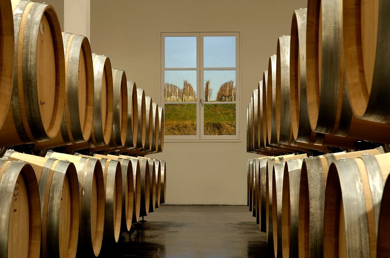 Médoc: Tour dei Vini di un'Intera Giornata da Bordeaux — 5