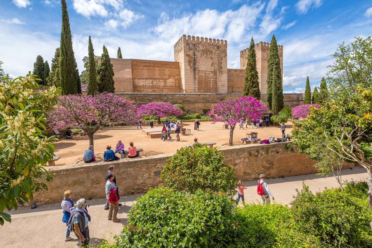 Alhambra e Palazzi nazarì: Biglietto salta-coda + Tour guidato — 4