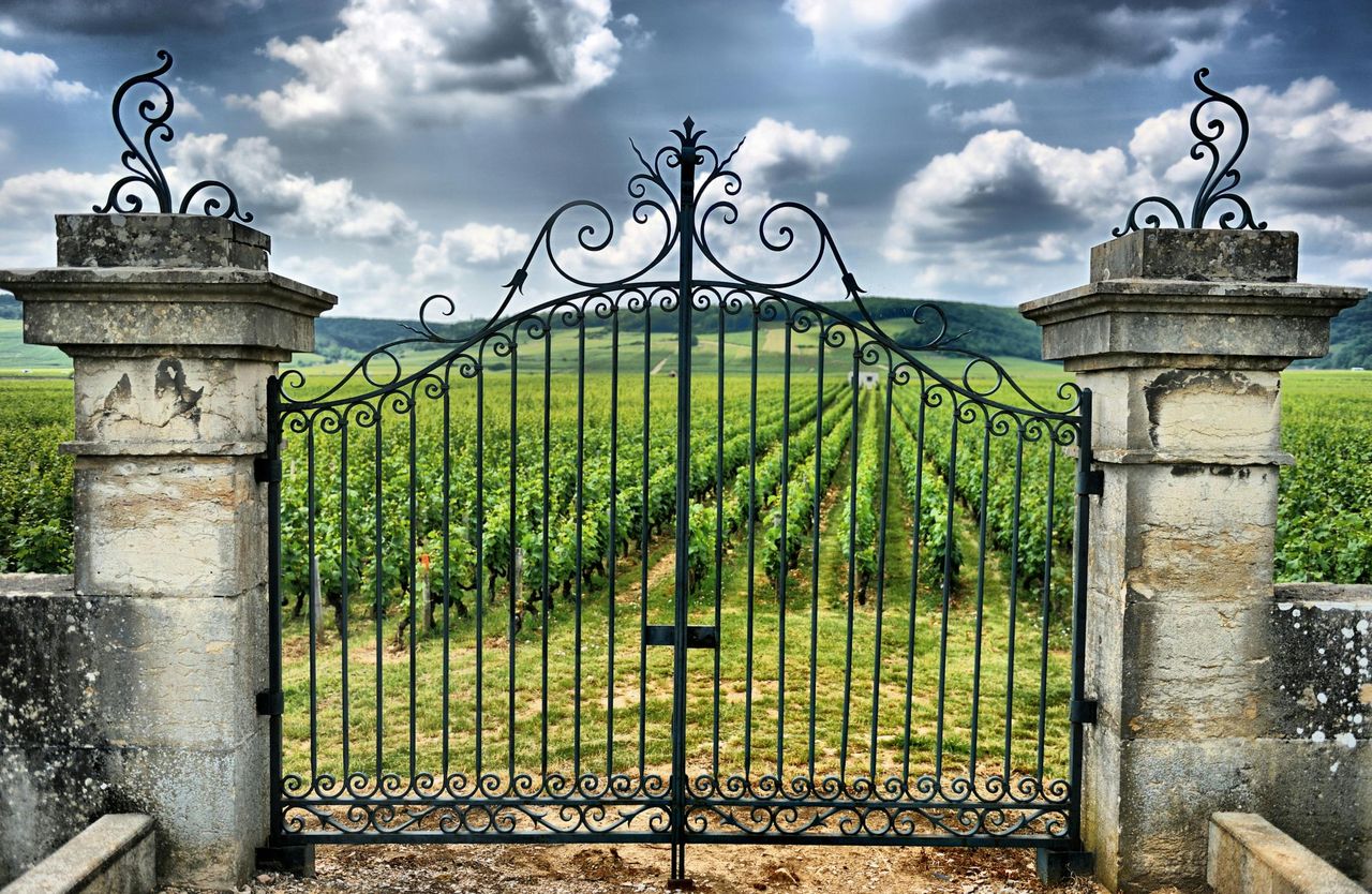 Villaggio di Saint-Émilion: Tour di un Giorno da Bordeaux con Degustazione Vini — 3