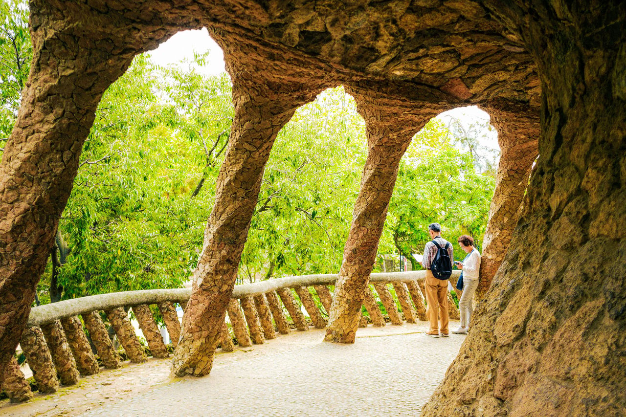 Parc Güell: Biglietto con accesso rapido + Tour guidato — 6