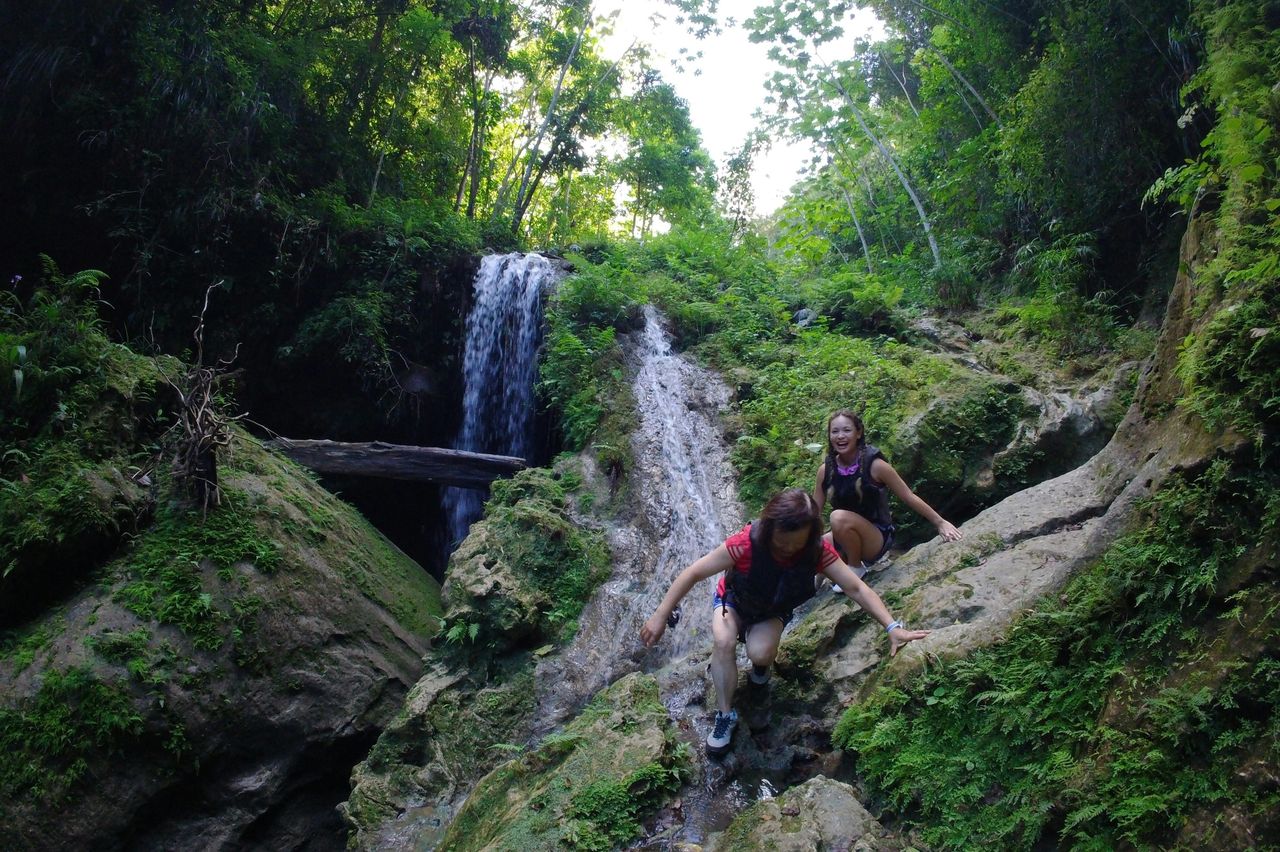 Foresta di Vega Baja: Escursione guidata alle grotte e alla cascata — 4