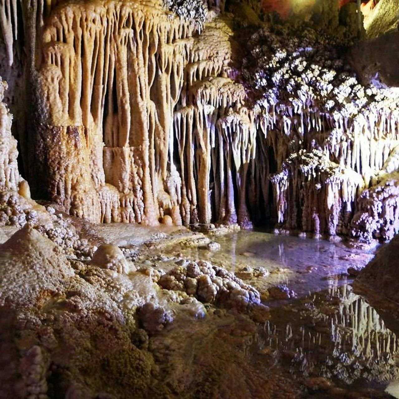 Grotte di Génova - Palma di Maiorca: Biglietto salta-coda