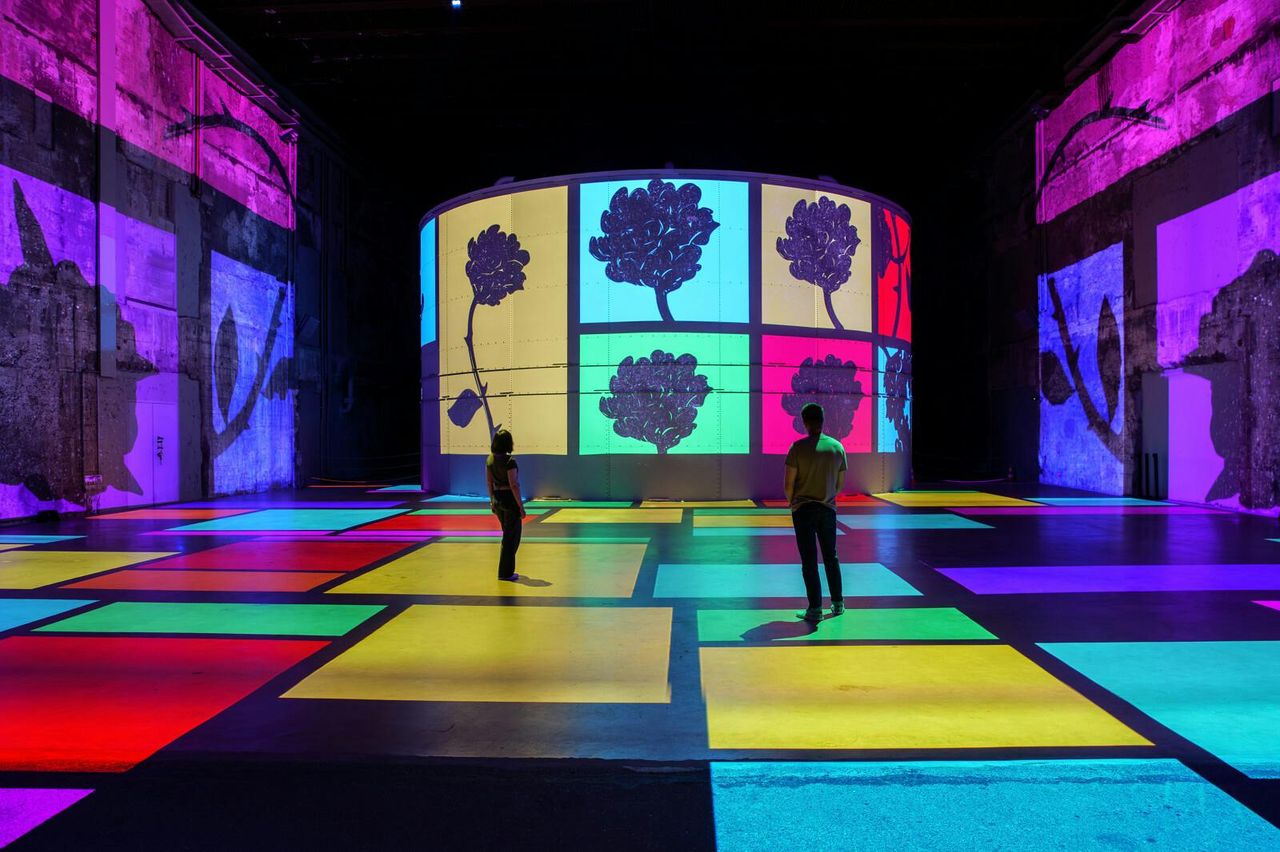 Bassins des Lumières: Mostra Il Piccolo Principe — 2