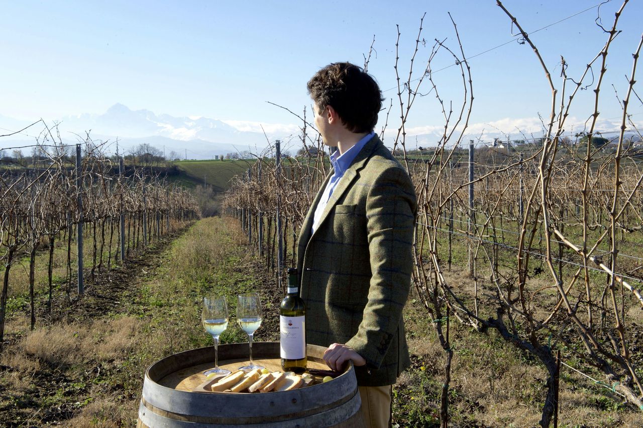 Tour delle cantine storiche d'Abruzzo e degustazione — 2