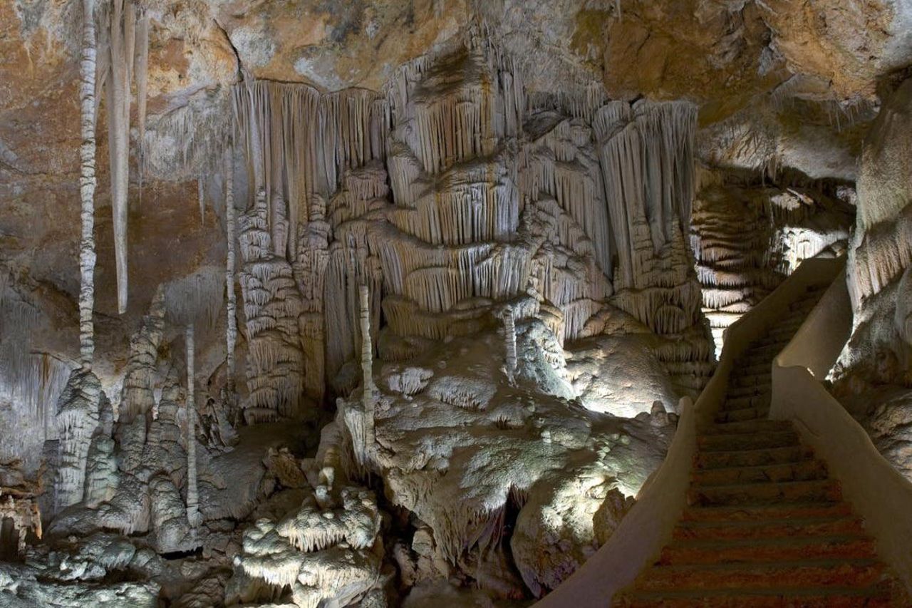Grotte di Campanet: Biglietto salta-coda — 6