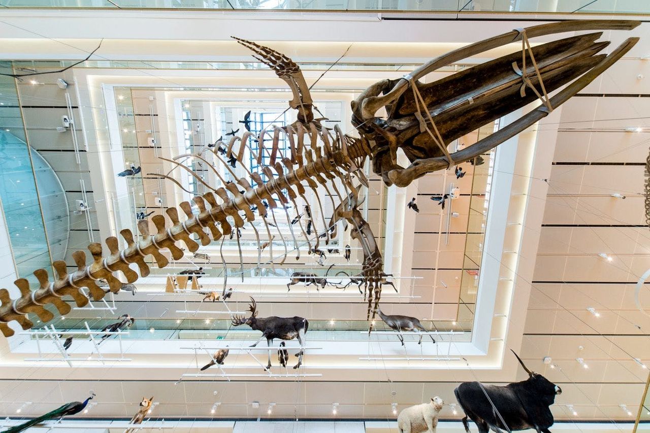 MUSE - Museo delle Scienze: Biglietto d'ingresso — 2