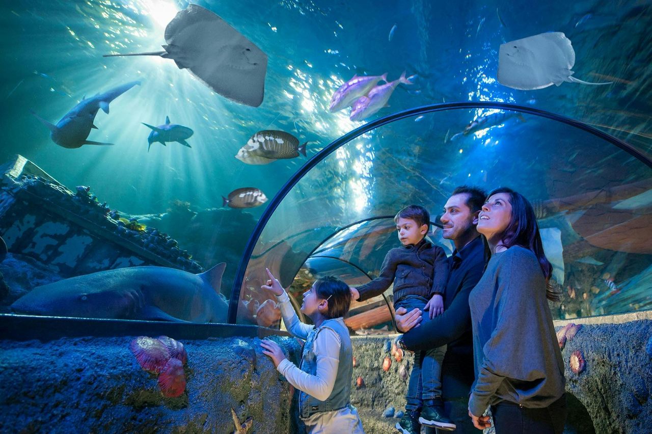 Gardaland Park, LEGOLAND® Water Park e SEA LIFE Aquarium: Pass Combo di 2 giorni — 2