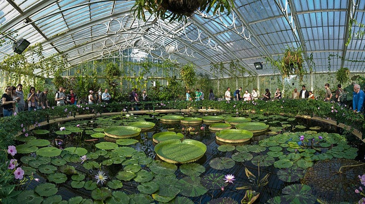 Kew Gardens: Biglietto d'ingresso — 2