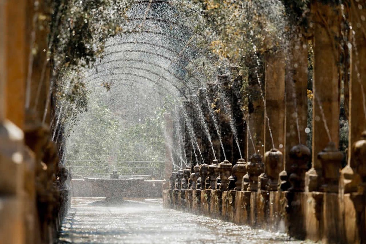 Giardini di Alfabia: Biglietto salta-coda