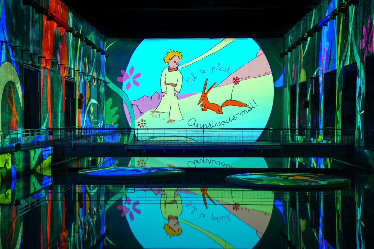 Bassins des Lumières: Mostra Il Piccolo Principe